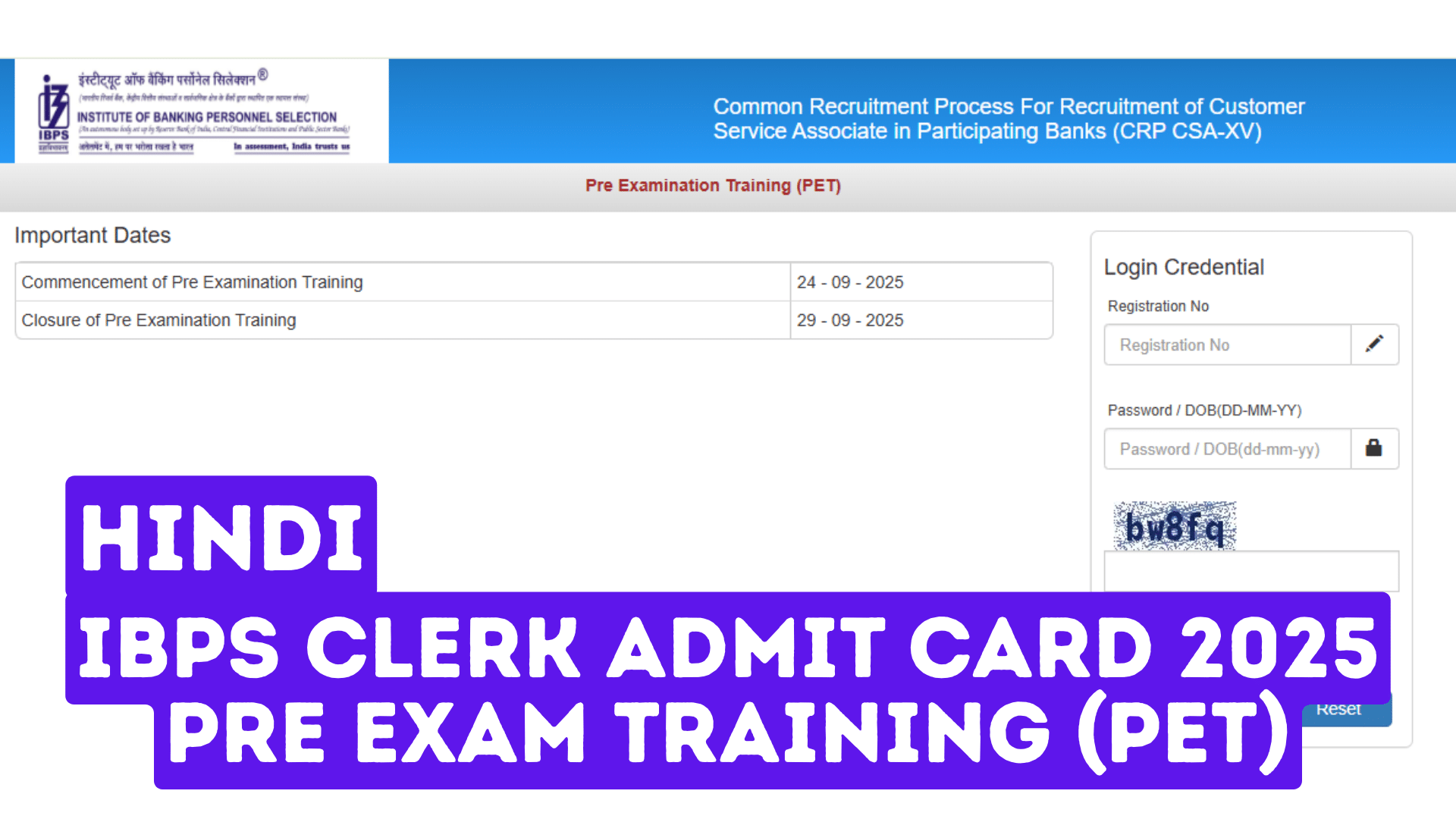 IBPS Clerk Admit Card 2025